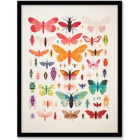 Artery8 Wall Art Print Insects & Bugs Bright Colourful Framed Picture | Size: A4