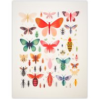Artery8 Wall Art Print Colourful Insects & Bugs Bright Poster Picture | Size: W12" x H16"