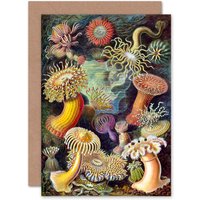 Artery8 Scuba Diving Seabed Scene for Him or Her for All Occasions Greeting Card