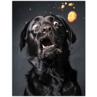 Artery8 Wall Art Print Funny Black Labrador Dog Lover Treat Catch Photo Poster | Size: W12" x H16"