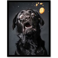 Artery8 Wall Art Print Funny Black Labrador Dog Lover Treat Catch Photo Art Framed Poster | Size: W12" x H16"