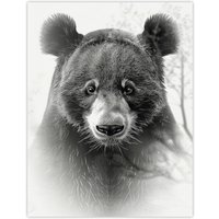 Artery8 Wall Art Print Bear Portrait Pencil Drawing Animal Lover Realistic Poster in Grey | Size: W12" x H16"