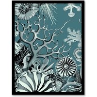 Artery8 Coral Reef Life Aquatic Blue Landscape Design Framed Art Print | Size: A4