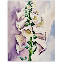 Artery8 Foxglove Digitalis Flower Botanical Watercolour Wall Art Print in White | Size: W24" x H32"