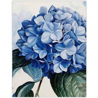 Artery8 Blue Hydrangea Modernist Painting Floral Calm Wall Art Print | Size: W12" x H16"