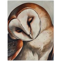 Artery8 Peaceful Owl Portrait Calm Magical Bird Animal Wall Art Print in Brown | Size: W12" x H16"