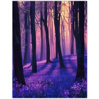 Artery8 Realistic Purple Bluebell Forest Artwork Dawn Sun Wall Art Print | Size: W18" x H24"