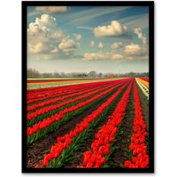 Artery8 Tulip Fields Blue Sky Painting Holland Modern Framed Art Print in Red | Size: A4