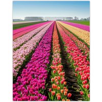 Artery8 Pink Tulip Fields Holland Artwork Summer Floral Wall Art Print | Size: W24" x H32"