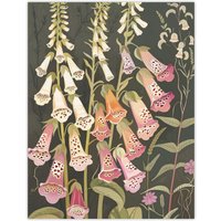 Artery8 Foxglove Flowers Floral Spring Botanical Blooms Wall Art Print in Grey | Size: W24" x H32"
