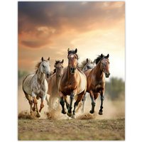 Artery8 Wild Horses Galloping Open Field Sunset Clouds Wall Art Print in Brown | Size: W18" x H24"