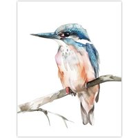 Artery8 Blue Kingfisher Bird Modern Watercolour Simple Wall Art Print in White | Size: W24" x H32"