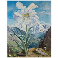 Artery8 Wild White Lily Mont Blanc Mountain Landscape Wall Art Print in Blue | Size: W12" x H16"