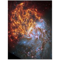Artery8 NASA Hubble James Webb Telescope Spiral Galaxy NGC 1087 Wall Art Print | Size: W24" x H32"