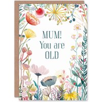 Artery8 Women's Happy Flowers You Are Old Funny Bold Joke Birthday Greeting Card