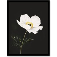 Artery8 Single White Poppy Anemone Flower Black Floral Framed Wall Art | Size: A4