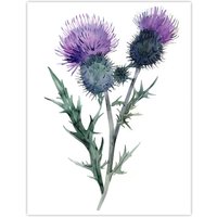 Artery8 Two Scottish Thistle Flower Blooms Watercolour Wall Art Print in Purple | Size: W12" x H16"