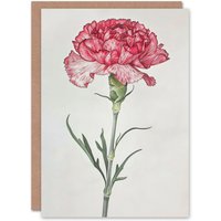Artery8 Women's Carnation Flower Detailed Floral Coloured Pencil Birthday Card in Red