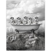 Artery8 Meerkats in a Bathtub in Desert Black White Photo Wall Art Print in Grey | Size: W24" x H32"