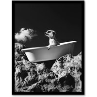 Artery8 Meerkat in Bathtub on a Rock Black White Surreal Framed Art Print in Grey | Size: W12" x H16"