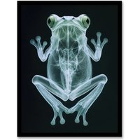 Artery8 Frog Teal Green Dark Luminescent Xray Effect Framed Art Print in Black | Size: A4