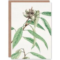 Artery8 Megata Morikaga Art Card Acorns On Oak Tree Botanical in Green