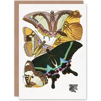 Artery8 Eugene Seguy Art Card Bright Vintage Butterflies Papillons