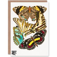 Artery8 Eugene Seguy Art Card Papillons Butterflies Vintage