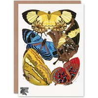 Artery8 Eugene Seguy Art Card Vintage Butterflies Yellow Red Blue