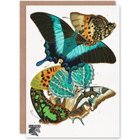Artery8 Eugene Seguy Art Card Vintage Colourful Butterflies