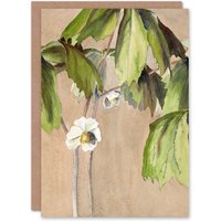 Artery8 Hannah Borger Overbeck Art Card May Apple Flower Watercolour in Beige