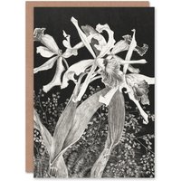 Artery8 Theo van Hoytema Art Card Orchids Black & White Floral
