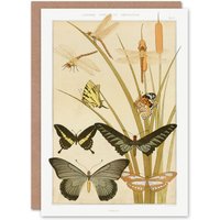 Artery8 Maurice Pillard Verneuil Art Card Butterflies & Dragonflies in Khaki