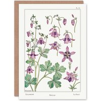 Artery8 Maurice Pillard Verneuil Art Card Columbine Aquilegia Flower in White