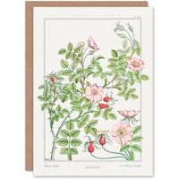 Artery8 Maurice Pillard Verneuil Art Card Wild Rose Flower in White