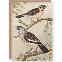 Artery8 Theo van Hoytema Art Card Two Birds on Tree Branches