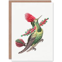 Artery8 Ernst Haeckel Art Card Hummingbird Vintage Illustration in White
