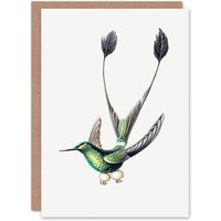Artery8 Ernst Haeckel Art Card Marvelous Spatuletail Hummingbird in White