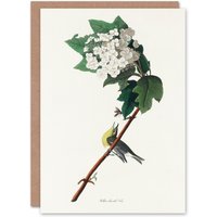Artery8 John James Audubon Art Card Yellow Throated Vireo Bird in White