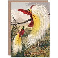 Artery8 Benjamin Fawcett Art Card Bird of Paradise Exotic Animal