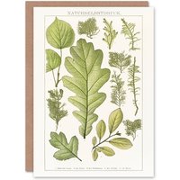 Artery8 Brockhaus Lexikon Art Card Plant Lover Botanical Leaves in White