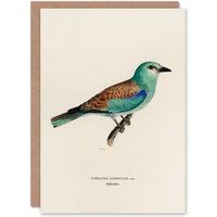 Artery8 Magnus Von Wright Art Card European Roller Bird in Beige