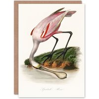 Artery8 Pierre Bernard Louis Couaihac Art Card Roseate Spoonbill in White