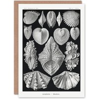 Artery8 Ernst Haeckel Art Card Acephala Mollusks Clams Oysters in Black