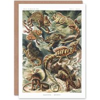 Artery8 Ernst Haeckel Art Card Lacertilia Reptile Lizard Species
