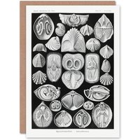 Artery8 Ernst Haeckel Art Card Spirobranchia Vintage Marine Life Illustration in Black