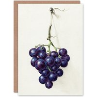 Artery8 Jean Bernard Art Card Bunch of Blue Grapes Oil Painting in White