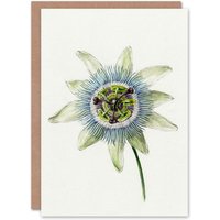 Artery8 Jean Bernard Art Card Passion Flower Bloom Floral Drawing in White