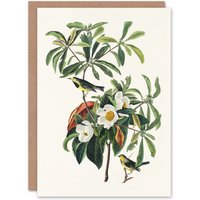 Artery8 John James Audubon Art Card Bachmans Warbler & Franklinia Tree in White