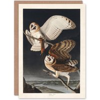 Artery8 John James Audubon Art Card Birds of America Barn Owl in Grey